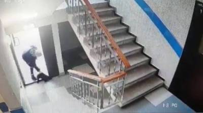 Избившая кота воронежская пенсионерка оказалась не причастна к его смерти - vestivrn.ru - Воронеж