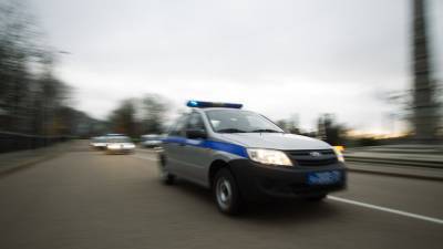 В Ленобласти полицейские ранили нарушителя во время утренней погони - ivbg.ru - Ленинградская обл. - Санкт-Петербург - р-н Выборгский