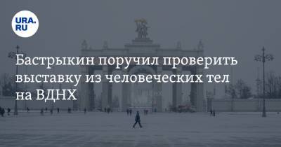 Светлана Петренко - Александр Бастрыкин - Бастрыкин поручил проверить выставку из человеческих тел на ВДНХ - ura.news - Москва