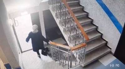 В Воронеже пинавшая полумертвого кота пенсионерка оказалась не причастна к его гибели - gorcom36.ru - Воронеж - Воронежская обл.
