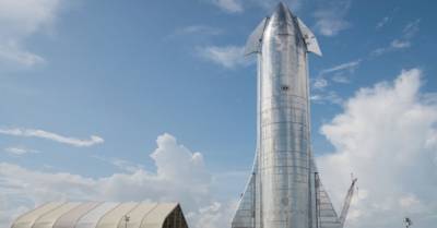 Илон Маск - SpaceX приземлит свои ракеты на Марс задолго до 2030 года — Маск - delo.ua - Украина - Япония