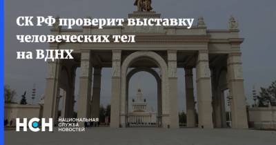 Светлана Петренко - Александр Бастрыкин - СК РФ проверит выставку человеческих тел на ВДНХ - nsn.fm - Москва - Следственный Комитет