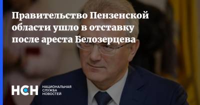 Иван Белозерцев - Правительство Пензенской области ушло в отставку после ареста Белозерцева - nsn.fm - Москва - Пензенская обл.