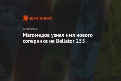 Магомед Магомедов - Магомедов узнал имя нового соперника на Bellator 255 - championat.com - штат Коннектикут