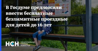 Максим Зайцев - В Госдуме предложили ввести бесплатные безлимитные проездные для детей до 16 лет - nsn.fm