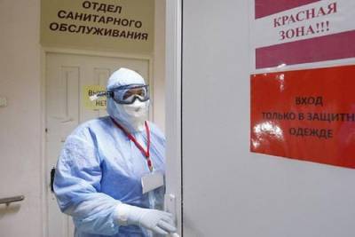 В России за сутки выявили 8 861 заразившегося коронавирусом - argumenti.ru - Москва - Россия