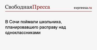 В Сочи поймали школьника, планировавшего расправу над одноклассниками - svpressa.ru - Сочи - Грузия