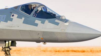 Литовкин: российский Су-57 заставил США срочно искать замену неудавшемуся F-35 - newinform.com - Россия - США