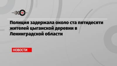 Полиция задержала около ста пятидесяти жителей цыганской деревни в Ленинградской области - echo.msk.ru - Ленинградская обл.