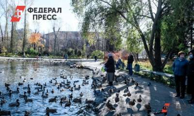 Парки Сургута могут благоустроить за федеральный счет - fedpress.ru - Сургут