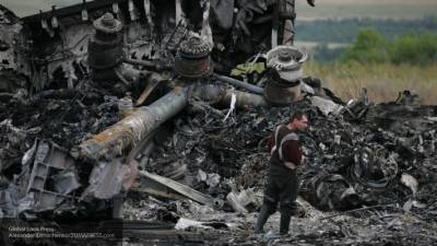 Владимир Высоцкий - Антипов раскрыл, что в первые секунды увидели жители Грабово на месте крушения MH17 - newinform.com - Голландия