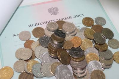 Житель Северодвинска погасил долг почти четырьмя тысячами монет - arh.mk.ru - Архангельская обл. - Северодвинск
