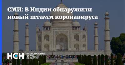 Кирилл Дмитриев - СМИ: В Индии обнаружили новый штамм коронавируса - nsn.fm - Бразилия - Индия