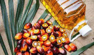 Россия увеличивает импорт пальмового масла - mirnov.ru - Россия