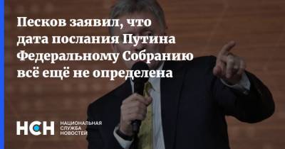 Владимир Путин - Дмитрий Песков - Песков заявил, что дата послания Путина Федеральному Собранию всё ещё не определена - nsn.fm