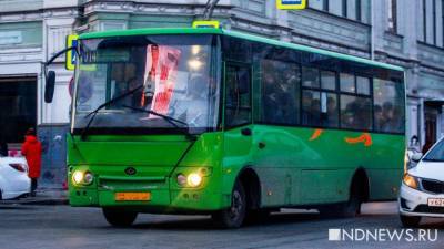 В Кургане школьникам начали выдавать новый вид проездного билета - newdaynews.ru - Курган