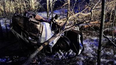 В Воронежской области ВАЗ вылетел в кювет и перевернулся: пострадали 3 человека - vestivrn.ru - Воронежская обл.