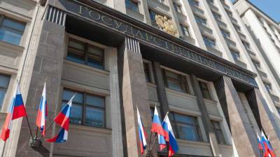Госдума приняла закон о госзащите разведчиков и росгвардейцев - profile.ru