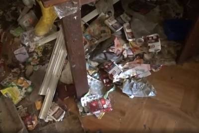 Появилось видео из дома в Подмосковье, где нашли девочку-маугли с 19 кошками - vm.ru - Московская обл.