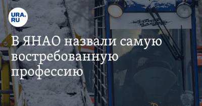 В ЯНАО назвали самую востребованную профессию. В месяц готовы платить 150 тысяч - ura.news - окр. Янао