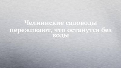 Дмитрий Волков - Челнинские садоводы переживают, что останутся без воды - chelny-izvest.ru - Набережные Челны