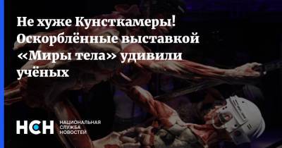 Евгений Александров - Не хуже Кунсткамеры! Оскорблённые выставкой «Миры тела» удивили учёных - nsn.fm - Москва - Бостон