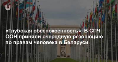 «Глубокая обеспокоенность». В СПЧ ООН приняли очередную резолюцию по правам человека в Беларуси - news.tut.by