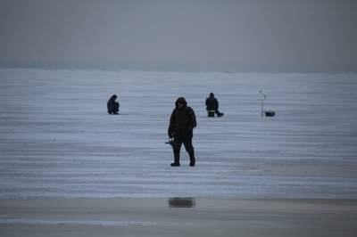 В Красносельском районе со льда вывели почти сотню рыбаков-нарушителей - neva.today - Санкт-Петербург