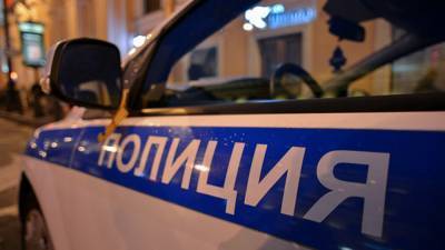 Застреленного подростка нашли в квартире на улице Олеко Дундича - polit.info - Санкт-Петербург - Петербург