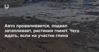 Авто проваливается, подвал затапливает, растения гниют. Чего ждать, если на участке глина - news.tut.by