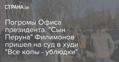 Сергей Стерненко - Сергей Филимонов - Погромы Офиса президента. "Сын Перуна" Филимонов пришел на суд в худи "Все копы - ублюдки" - strana.ua - Киев