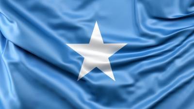 Правительство Сомали привлекает инвестиции в бизнес на фоне политического кризиса - riafan.ru - Сомали - Могадишо