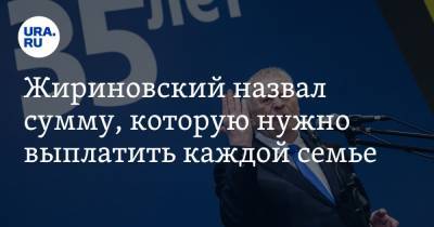 Владимир Жириновский - Жириновский назвал сумму, которую нужно выплатить каждой семье - ura.news