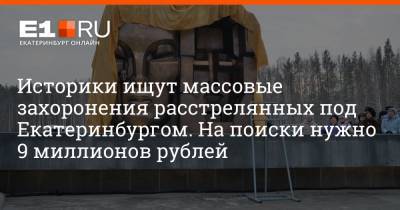 Историки ищут массовые захоронения расстрелянных под Екатеринбургом. На поиски нужно 9 миллионов рублей - e1.ru - Екатеринбург