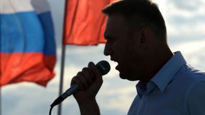 ФБК может использовать ботов для накрутки числа активистов на "протестном" сайте - inforeactor.ru