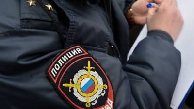 Константин Салаев - Задержанный водитель признал вину в смертельном ДТП на Пулковской улице в Москве - nation-news.ru - Москва