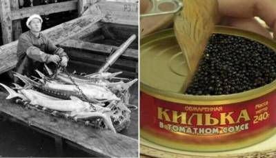 Как рухнула крупнейшая коррупционная схема в СССР - pravda-tv.ru