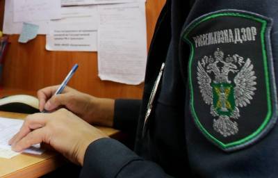 В Тверской области выявляют очаги карантинных объектов в сфере охотпользования - afanasy.biz - Тверская обл.