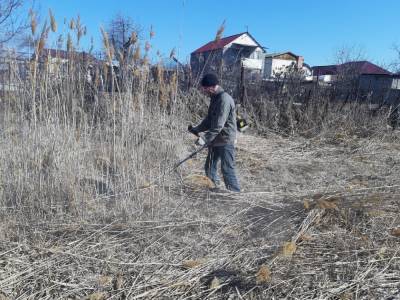 Власти Астрахани приступили к покосу камыша во всех районах города - astrakhanfm.ru - Астрахань