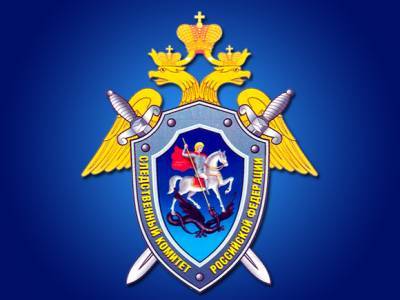 В Подмосковье завели дело об истязании девочки: она жила без горячей воды и отопления с чужим человеком - rosbalt.ru - Московская обл.