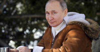 Владимир Путин - Роман Путин - Племянник президента РФ создал Комитет поддержки Путина - tsn.ua - Крым
