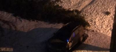 Ветром повалило огромную ель на автостоянку в Петрозаводске - stolicaonego.ru - Петрозаводск - республика Карелия