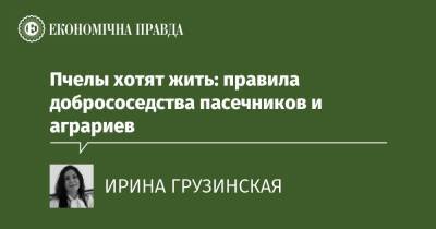 Пчелы хотят жить: правила добрососедства пасечников и аграриев - epravda.com.ua