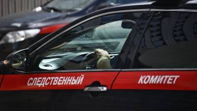 Александр Бастрыкин - В СК РФ взяли на контроль дело о совращении учениц школы танцев - crimea.ria.ru - Крым - Симферополь - Севастополь