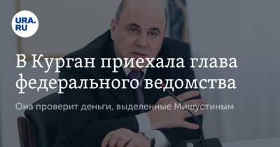 Михаил Мишустин - В Курган приехала глава федерального ведомства. Она проверит деньги, выделенные Мишустиным - ura.news - Курганская обл. - Курган