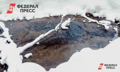Челябинская ТЭЦ выплатит штраф за загрязнение двух озер - fedpress.ru - Челябинская обл. - Челябинск