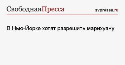 В Нью-Йорке хотят разрешить марихуану - svpressa.ru - New York - Нью-Йорк - шт. Нью-Йорк