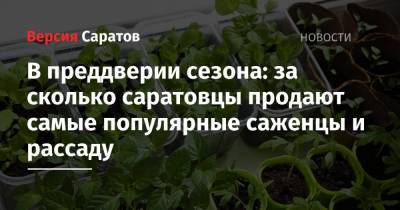 В преддверии сезона: за сколько саратовцы продают самые популярные саженцы и рассаду - nversia.ru - Саратов