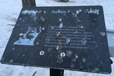 Юрий Гагарин - Саратовские птицы против конкуренции: мемориал космонавтам постоянно загажен - saratov.mk.ru - Саратов