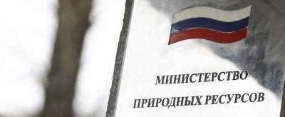 Викторий Абрамченко - Минприроды поручили разработать типовые сметы рекультивации свалок - runews24.ru